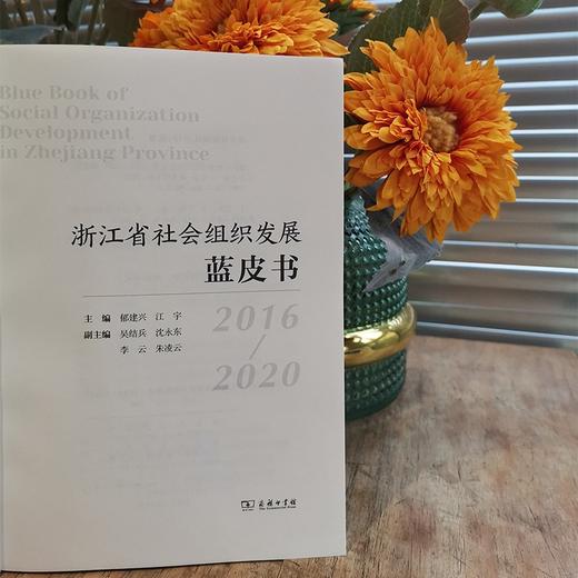 浙江省社会组织发展蓝皮书(2016-2020) 商品图4