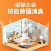 【泰迪克斯二氧化氯空气消毒剂】消毒 杀箘 除甲醛三效合一，母婴可用，宠物可用 商品缩略图2