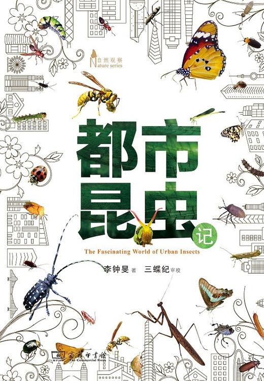 都市昆虫记(自然观察丛书) 商品图3