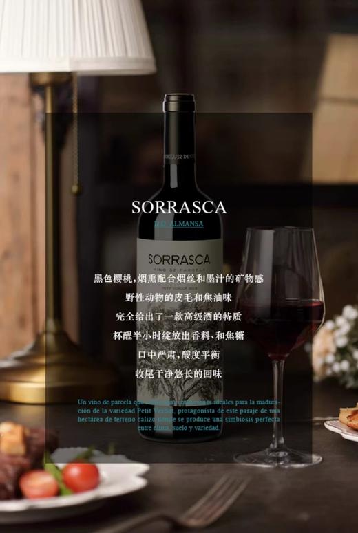 【海马刀】小橡树干红葡萄酒-西班牙原瓶原装进口-750mlx1支装 商品图3
