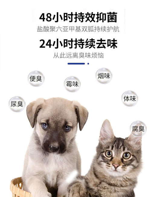 CKU GROOMER CLUB 品牌授权 宠物抑菌除臭喷雾 空气芬芳剂 持久清新 宠物学校及宠物店推荐使用 犬猫通用 商品图2