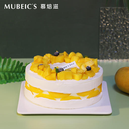 逢芒毕露（停用） 商品图0