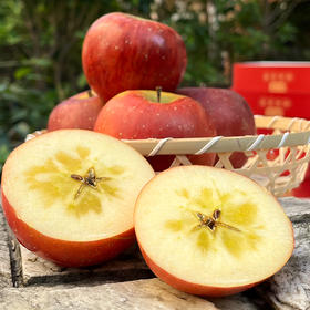 云南昭通苹果礼盒装4.2斤