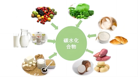 什么是碳水化合物