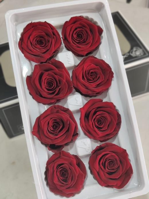 【永生玫瑰】永生花型 8朵/盒 约5公分 多款可选 商品图1