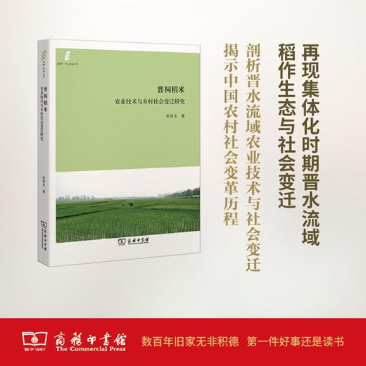 晋祠稻米：农业技术与乡村社会变迁研究（田野·社会丛书） 商品图0