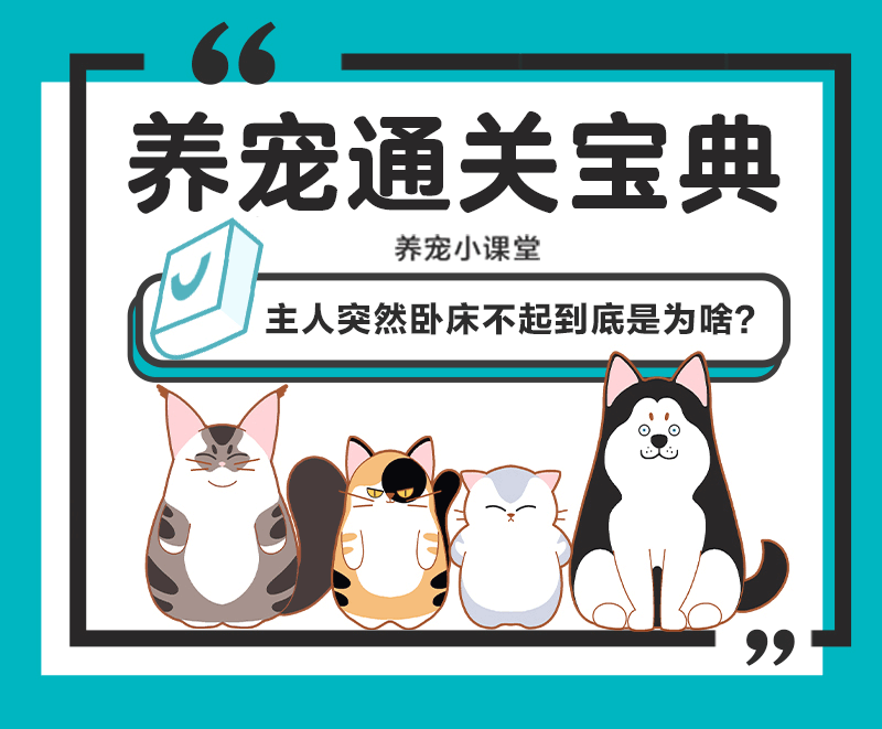 主人突然卧床不起到底是为啥？