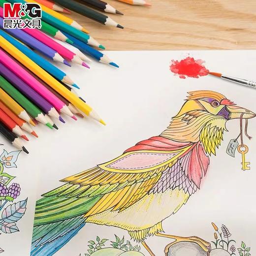 晨光彩色铅笔幼儿园儿童绘画素描水溶性彩铅24色专业安全学生油溶性水融性彩铅画笔彩笔 商品图1