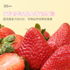 牛奶草莓大满足，可选1.5/2.5/3.5/6磅（s）okt 商品缩略图4
