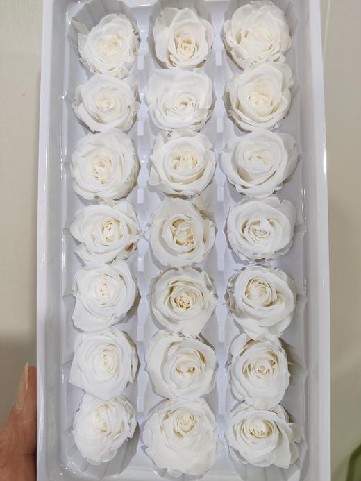 【永生玫瑰】永生花型 多款可选 21朵/盒 约3公分 商品图4