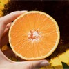 爱媛38果冻橙新鲜水果现货包邮5/8椪柑 商品缩略图0