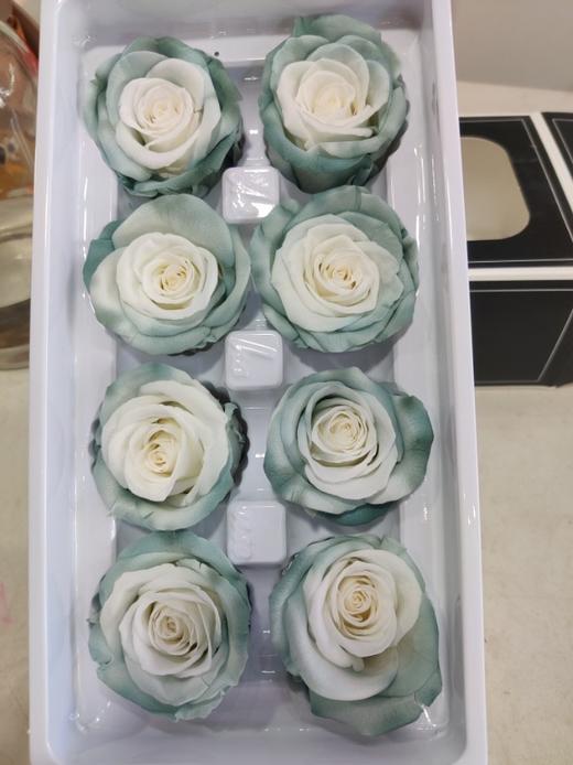 【永生玫瑰】永生花型 8朵/盒 约5公分 多款可选 商品图3