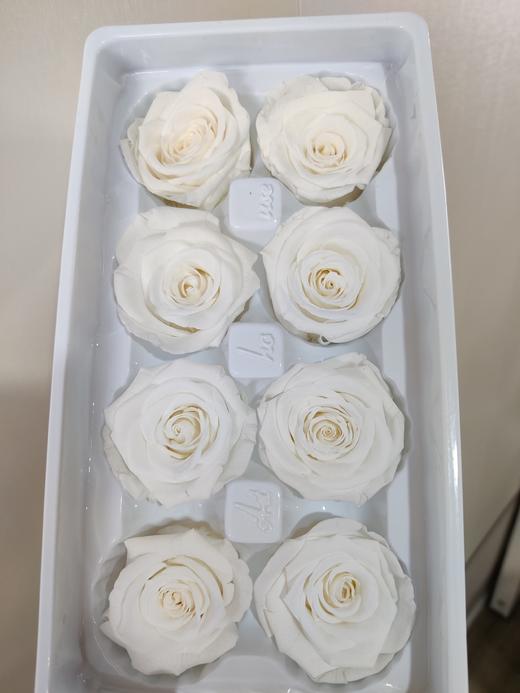 【永生玫瑰】永生花型 8朵/盒 约5公分 多款可选 商品图10