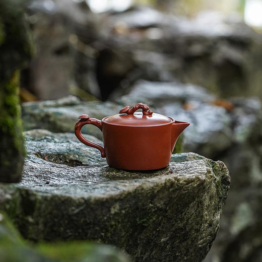 龙德堂陶艺  范泽锋设计  蒋振英制作《壶浚·灵芝》原矿大红袍 150cc【预售】 商品图1