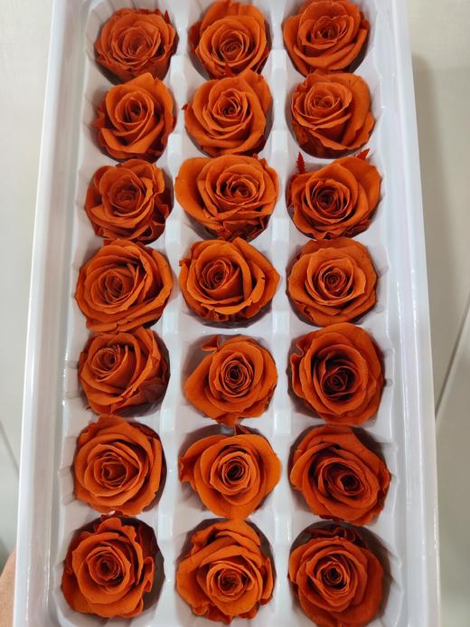 【永生玫瑰】永生花型 多款可选 21朵/盒 约3公分 商品图5