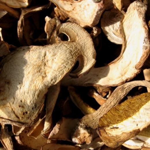 云南野生菌干 | 合作农友生产，产自云南楚雄永仁，生产者：康丽 *【公平贸易农人定价】 商品图7