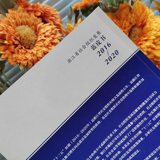 浙江省社会组织发展蓝皮书(2016-2020) 商品图8