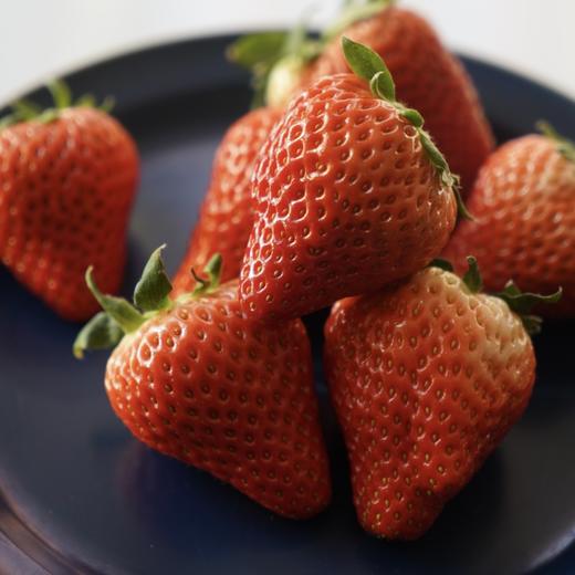 【芬芳甜美 儿时草莓香】2025新产季丹东东港的99红颜草莓 商品图2