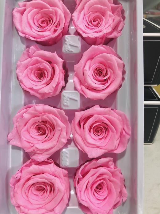 【永生玫瑰】永生花型 8朵/盒 约5公分 多款可选 商品图4