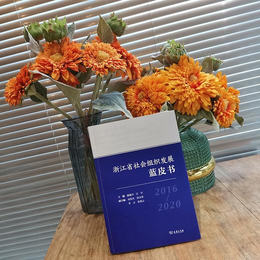 浙江省社会组织发展蓝皮书(2016-2020) 商品图1