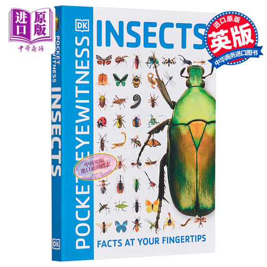【中商原版】DK目击者口袋系列 昆虫	Pocket Eyewitness Insects	DK 英文原版 昆虫百科 商品图1