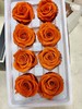 【永生玫瑰】永生花型 8朵/盒 约5公分 多款可选 商品缩略图6