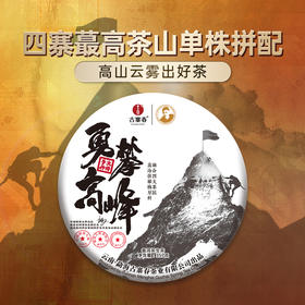 【勇攀高峰】四大茶区高山单株拼配而制高山云雾出好茶全网独一家357克茶饼