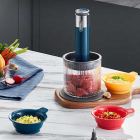 东菱（Donlim） 绞肉机 家用佐料机 料理机  XHR