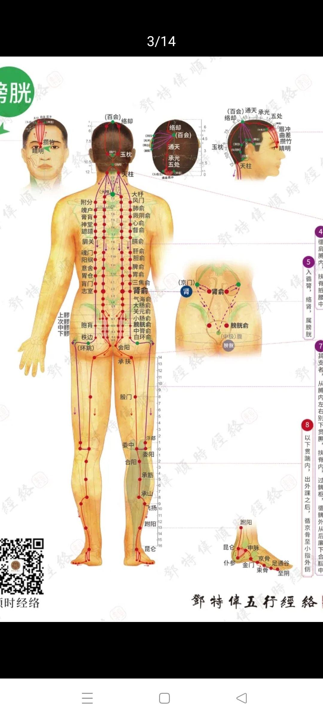 《黄帝内经》十二经络循行之道 顺时经络出品