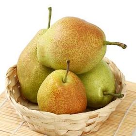 红香酥梨