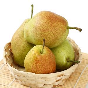 红香酥梨 商品图0