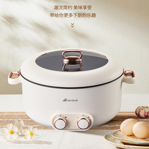 艾贝丽 / 液体加热器（鸳鸯锅）ABL-Y53L 商品图1