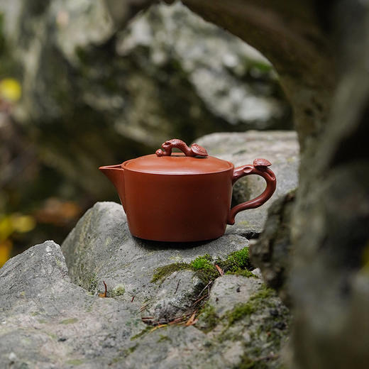 龙德堂陶艺  范泽锋设计  蒋振英制作《壶浚·灵芝》原矿大红袍 150cc【预售】 商品图0