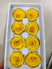 【永生玫瑰】永生花型 8朵/盒 约5公分 多款可选 商品缩略图9