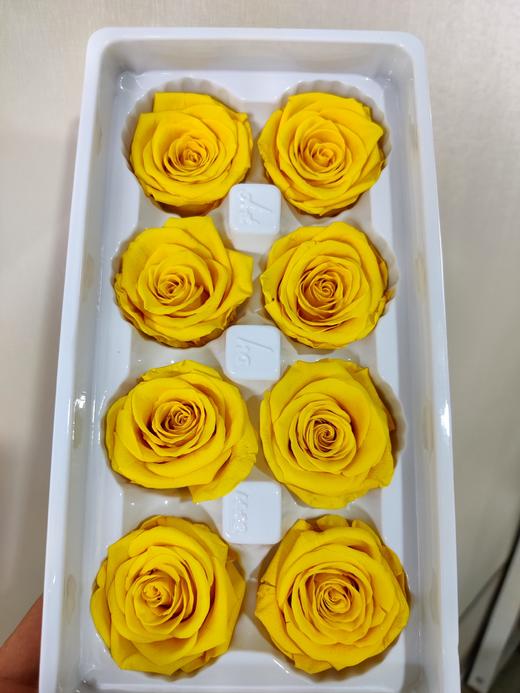 【永生玫瑰】永生花型 8朵/盒 约5公分 多款可选 商品图9