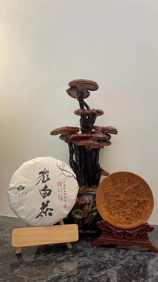 2016年太姥山高山老白茶陈年寿眉茶饼【300g/饼】 商品图2