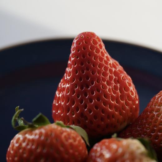 【芬芳甜美 儿时草莓香】2025新产季丹东东港的99红颜草莓 商品图6