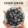 杞里香 黑枸杞子青海柴达木黑枸杞超大果  250克 商品缩略图1