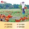 潭牛110天椰子鸡套餐（3-4人份） 商品缩略图1