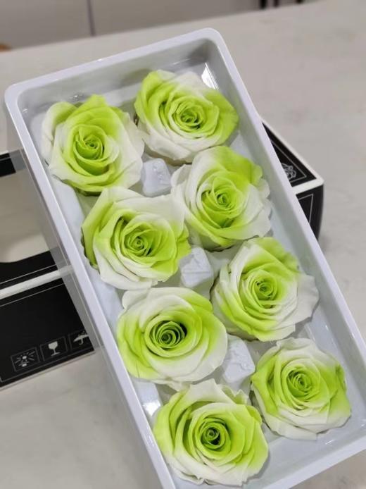 【永生玫瑰】永生花型 8朵/盒 约5公分 多款可选 商品图14