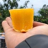 爱媛38果冻橙新鲜水果现货包邮5/8椪柑 商品缩略图4