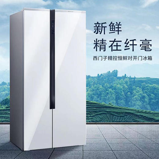 西门子(SIEMENS) 630升变频风冷无霜智能动态恒温三大储鲜科技 恒鲜对开门冰箱KA98NVA22C（湖影白） 商品图0
