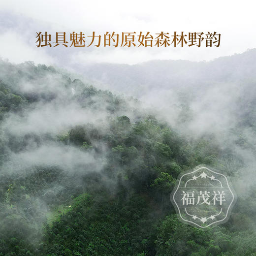 【收官之作】2022年云南普洱茶易武茶区普洱生茶壬寅收官之作357g 一饼一码 商品图1