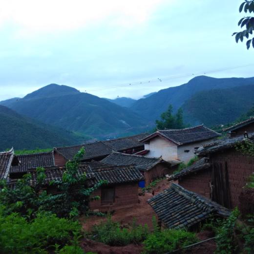 云南野生菌干 | 合作农友生产，产自云南楚雄永仁，生产者：康丽 *【公平贸易农人定价】 商品图6