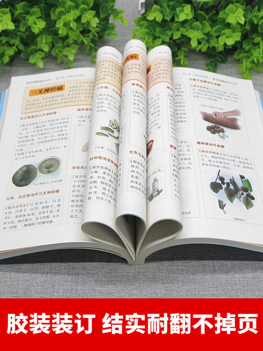 【9.9元包邮】【正版包邮】彩色图解偏方大全 针对医学8大科目症状验方 中药方中医临床诊断中医处方集中医诊断学中医课程速记畅销书籍 商品图3