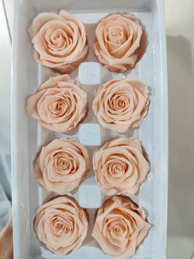 【永生玫瑰】永生花型 8朵/盒 约5公分 多款可选