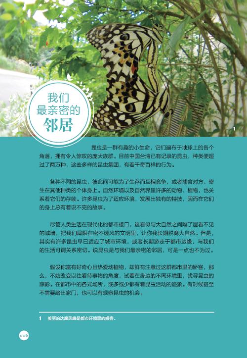 都市昆虫记(自然观察丛书) 商品图5