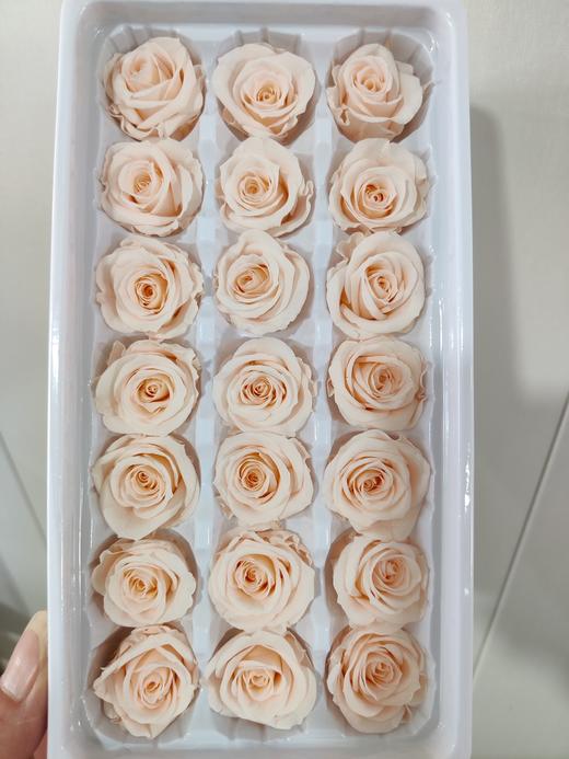 【永生玫瑰】永生花型 多款可选 21朵/盒 约3公分 商品图12