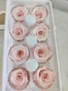 【永生玫瑰】永生花型 8朵/盒 约5公分 多款可选 商品缩略图13
