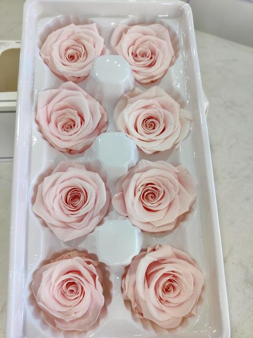 【永生玫瑰】永生花型 8朵/盒 约5公分 多款可选 商品图13